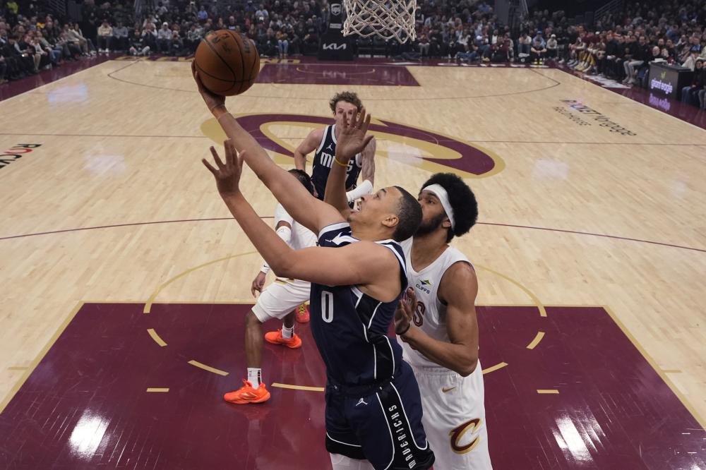 供了极具参 供了极具参